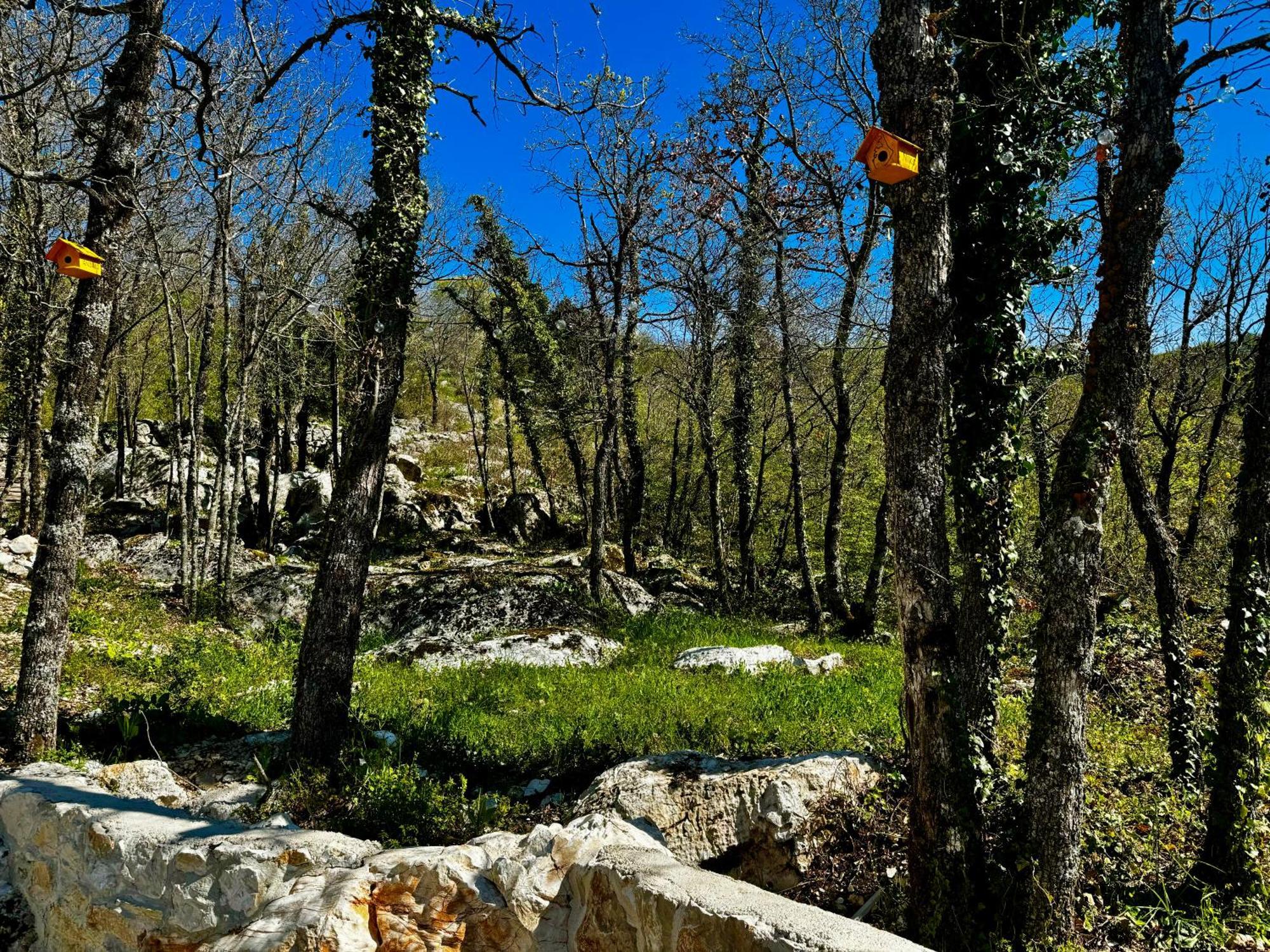 Luxury Villa Andrea Vrzika In Forest Near The Sea Zagvozd المظهر الخارجي الصورة